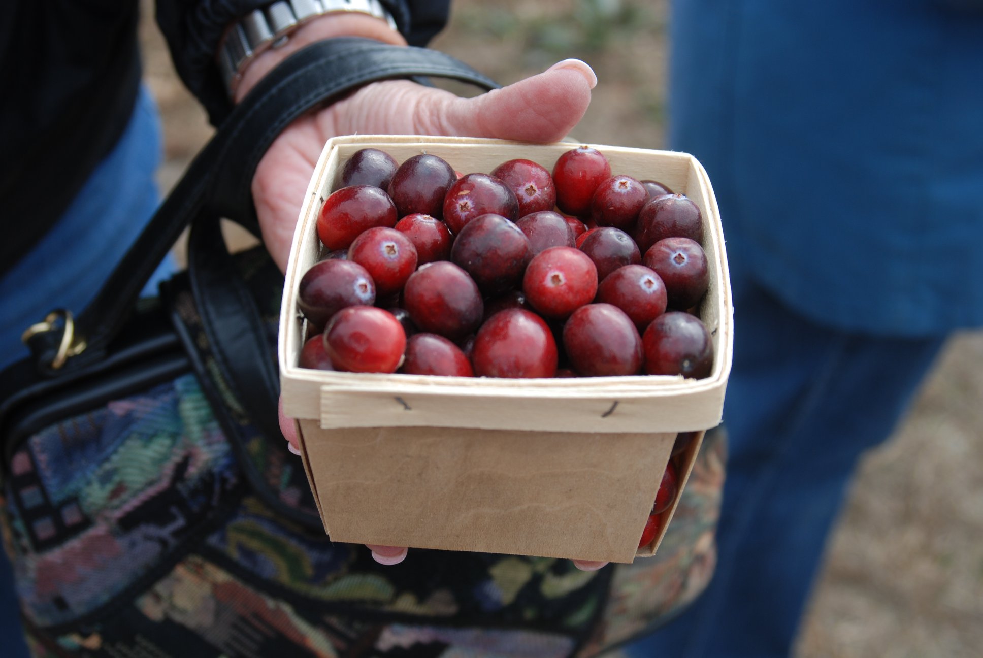 BOOK A TOUR Whitesbog Preservation Trust