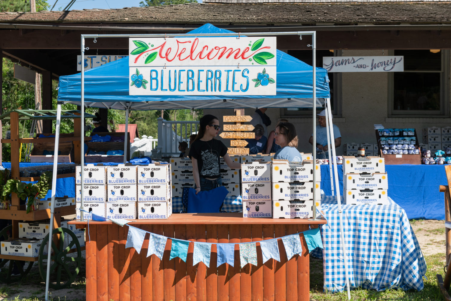 Blueberry Summer Fest 2023 Whitesbog Preservation Trust
