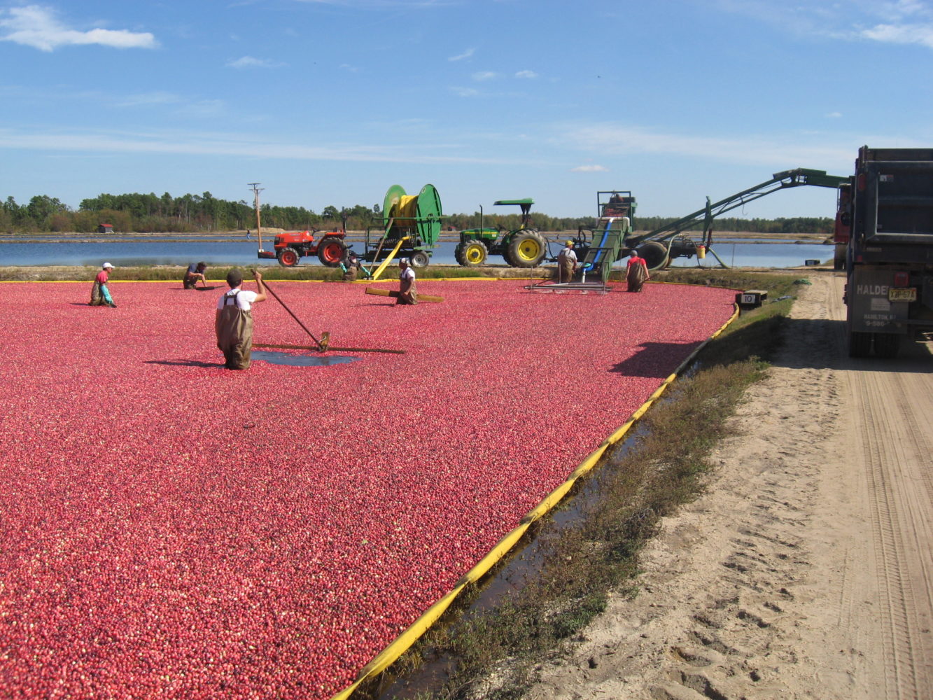 News & Events Whitesbog Preservation Trust